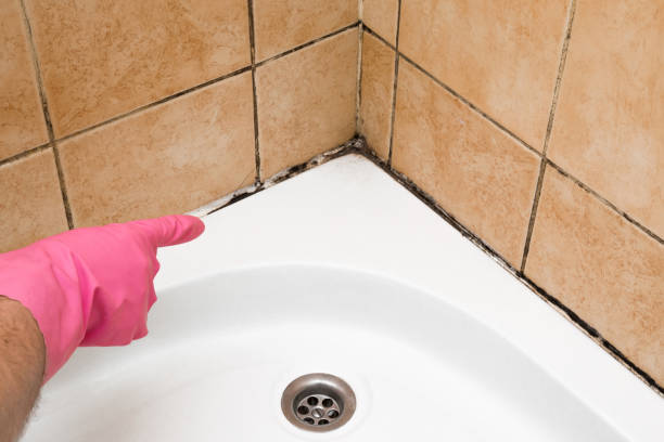 Best Mold Testing  in Patton Village, TX